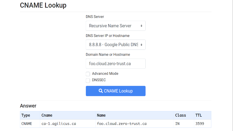 Internet Redirect & Alias: The CNAME