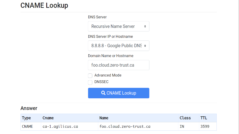 Internet Redirect Alias The CNAME Agilicus